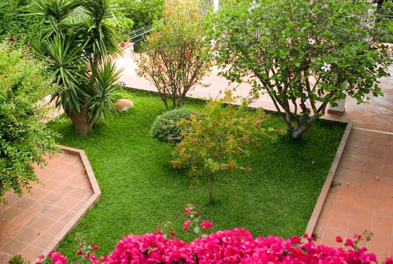 B&B Hibiscus Agropoli Eksteriør bilde