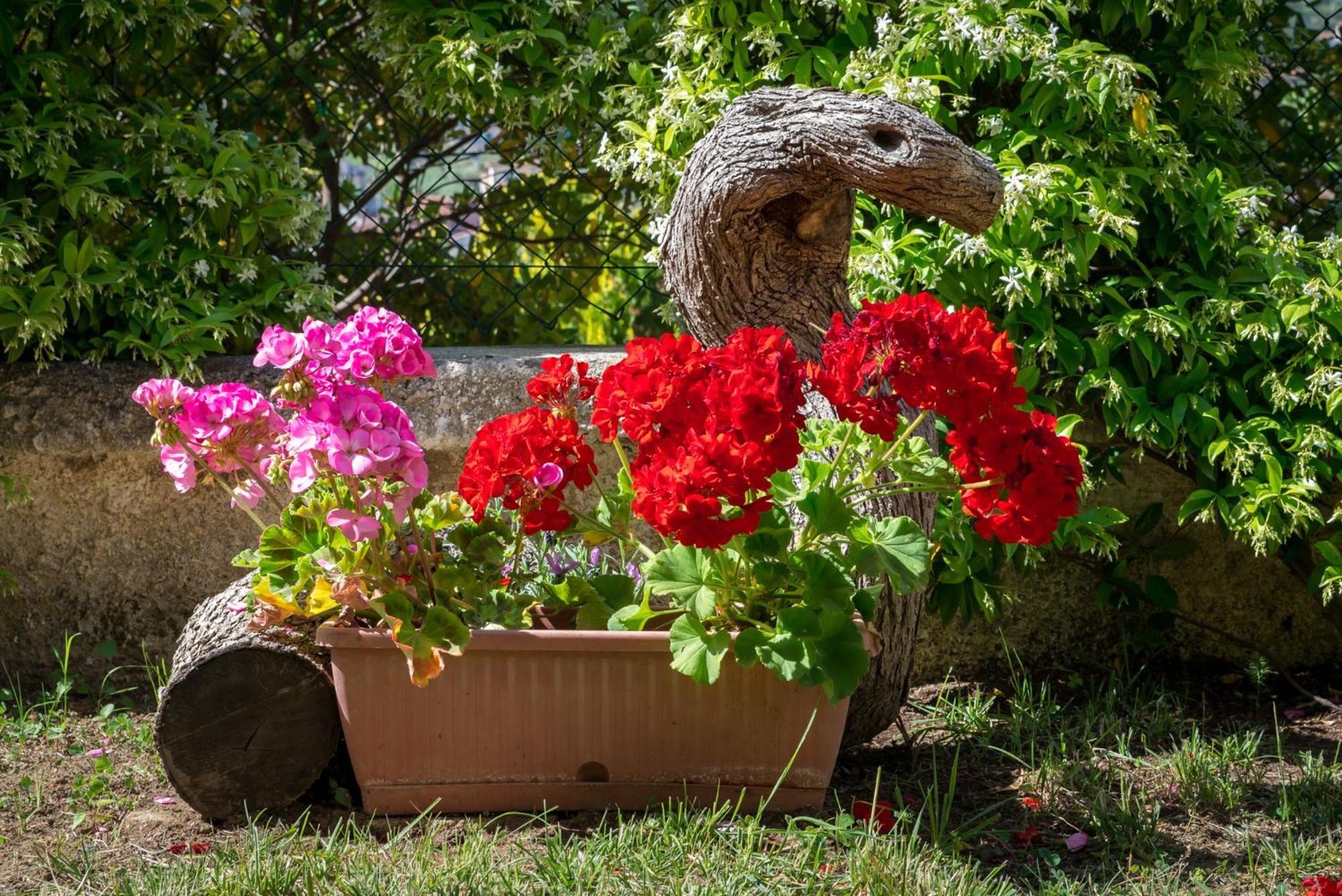 B&B Hibiscus Agropoli Eksteriør bilde